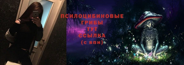амф Козельск