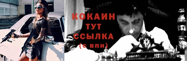 амф Козельск