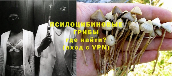марки nbome Козловка