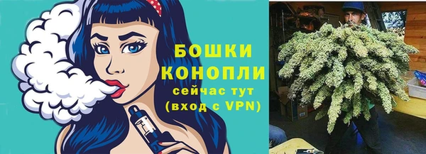 амф Козельск